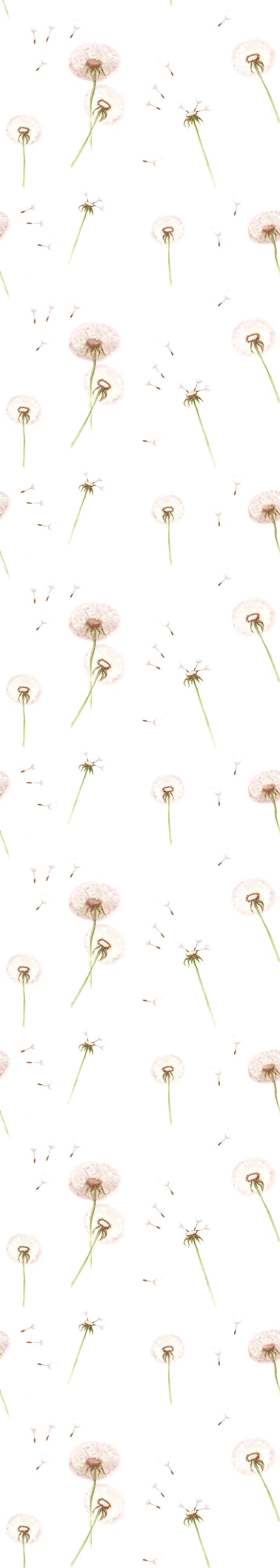 Dandelions Wallpaper