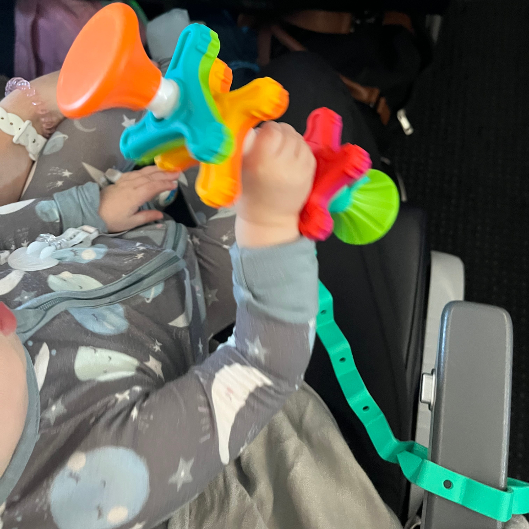 Toy Bungee Tether VIOLET