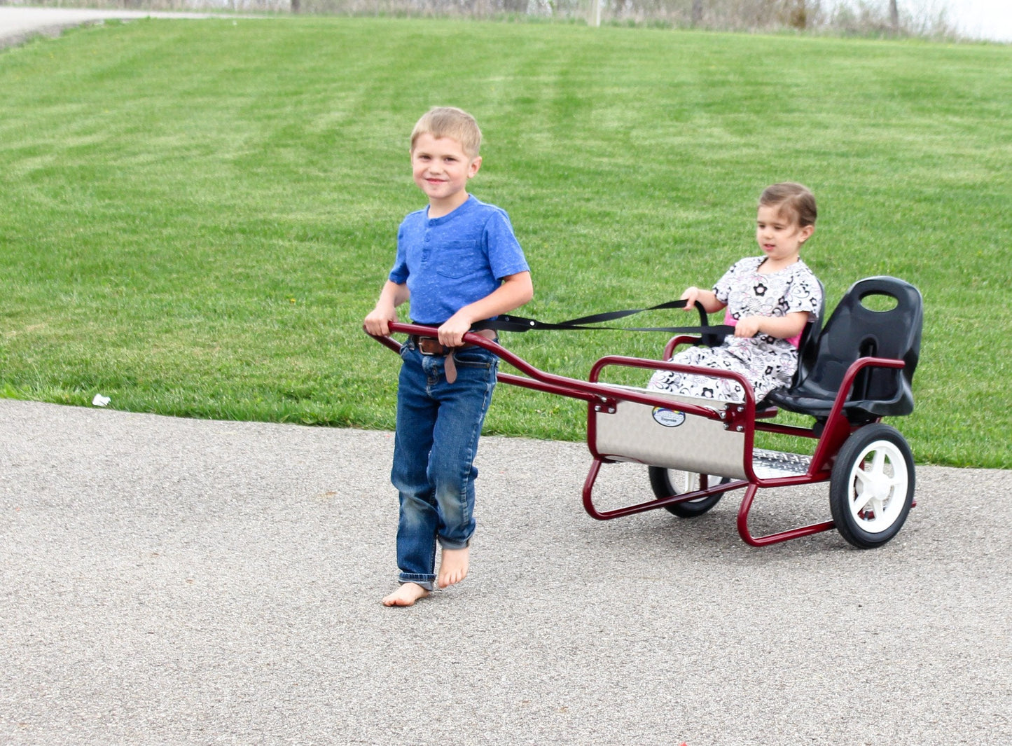 Lollipop Express Double Stroller-Cart Combo, Play Harness Included