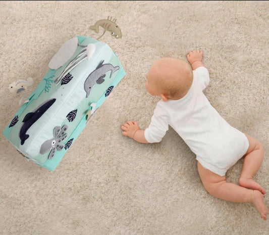 Under the sea tummy time toy
