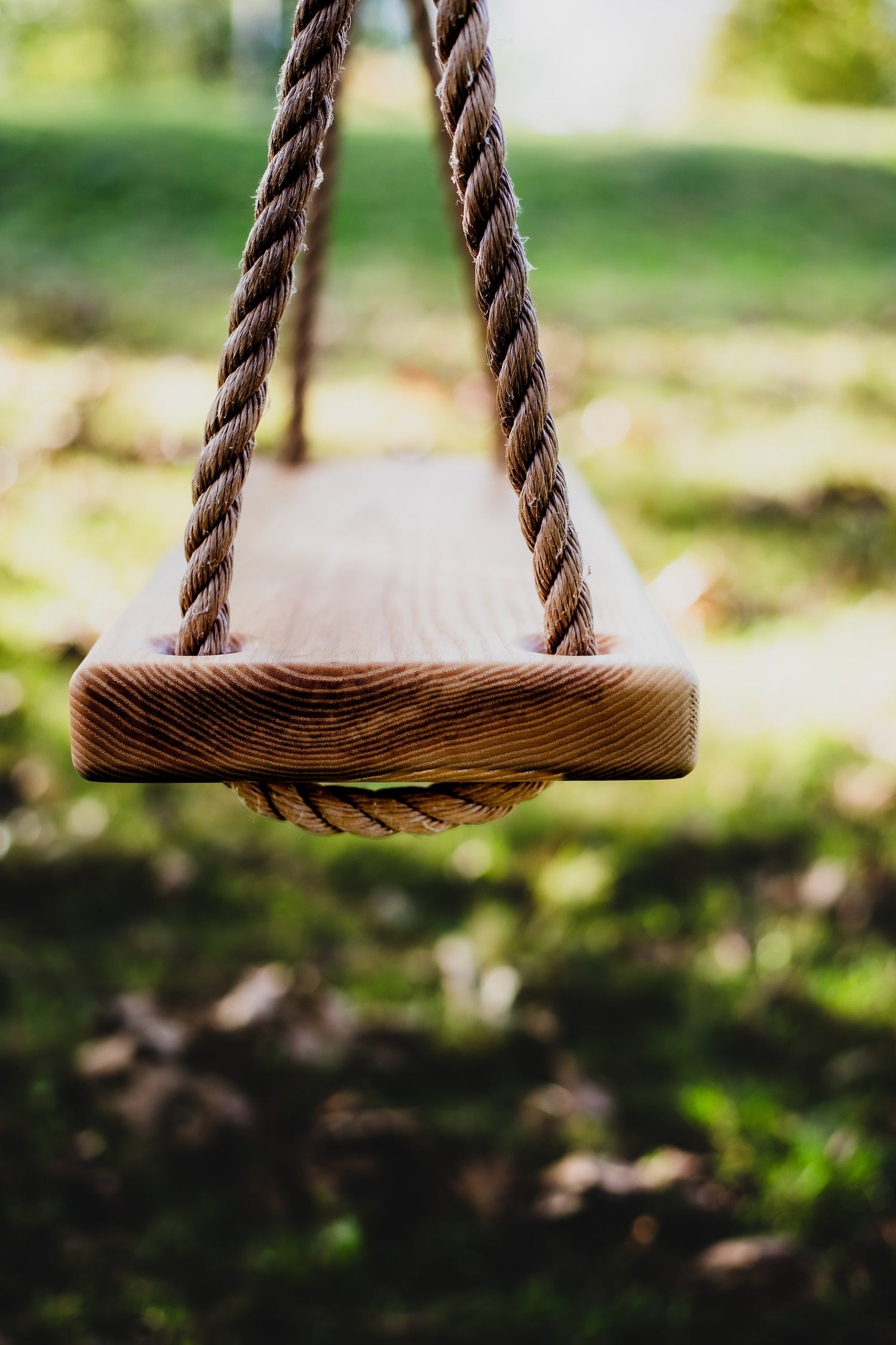 The Orginal Tree Swing