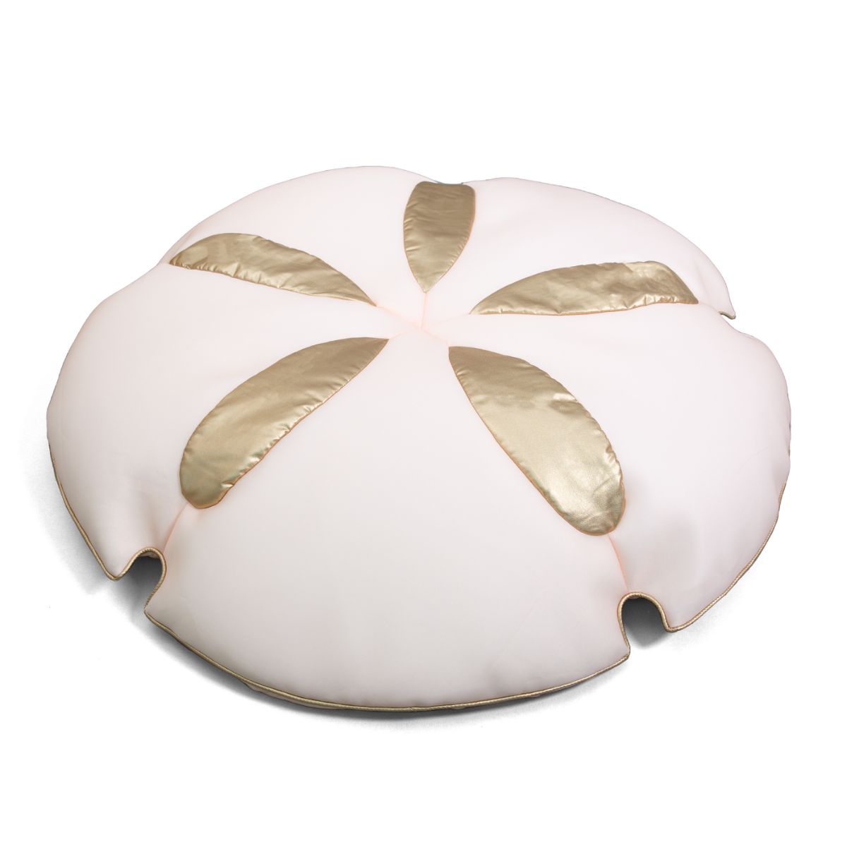 Sand Dollar