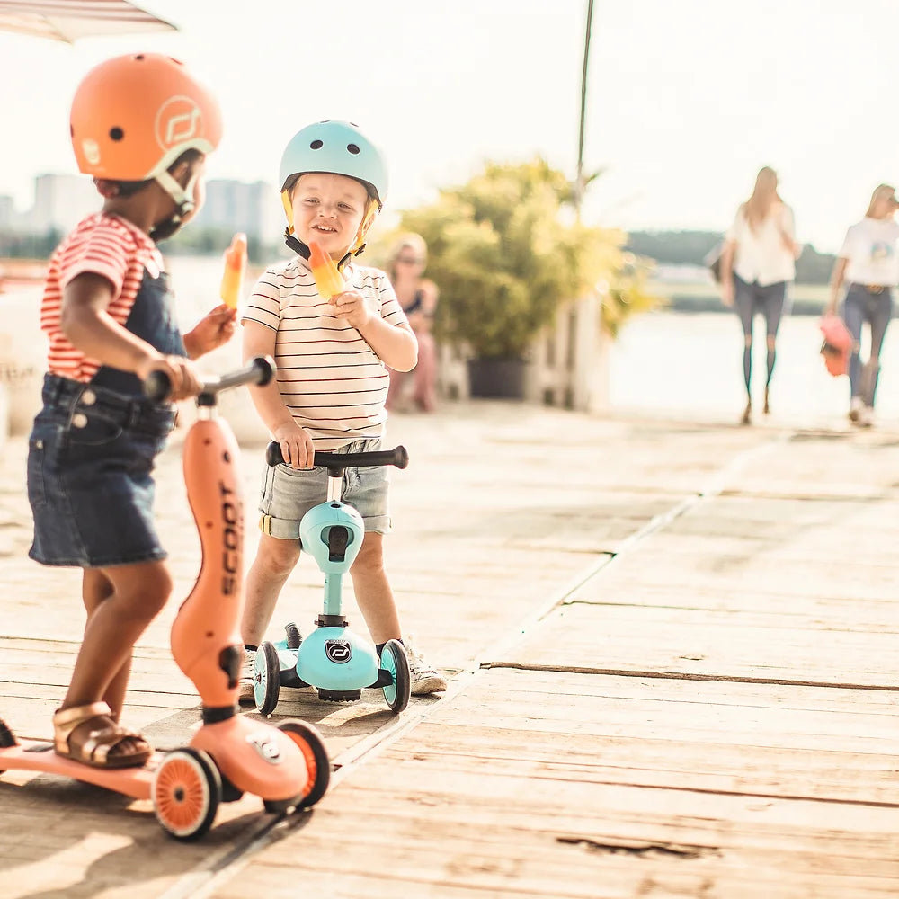 2-in-1 Scooter - Highway Kick 1 Kickboard | Blueberry