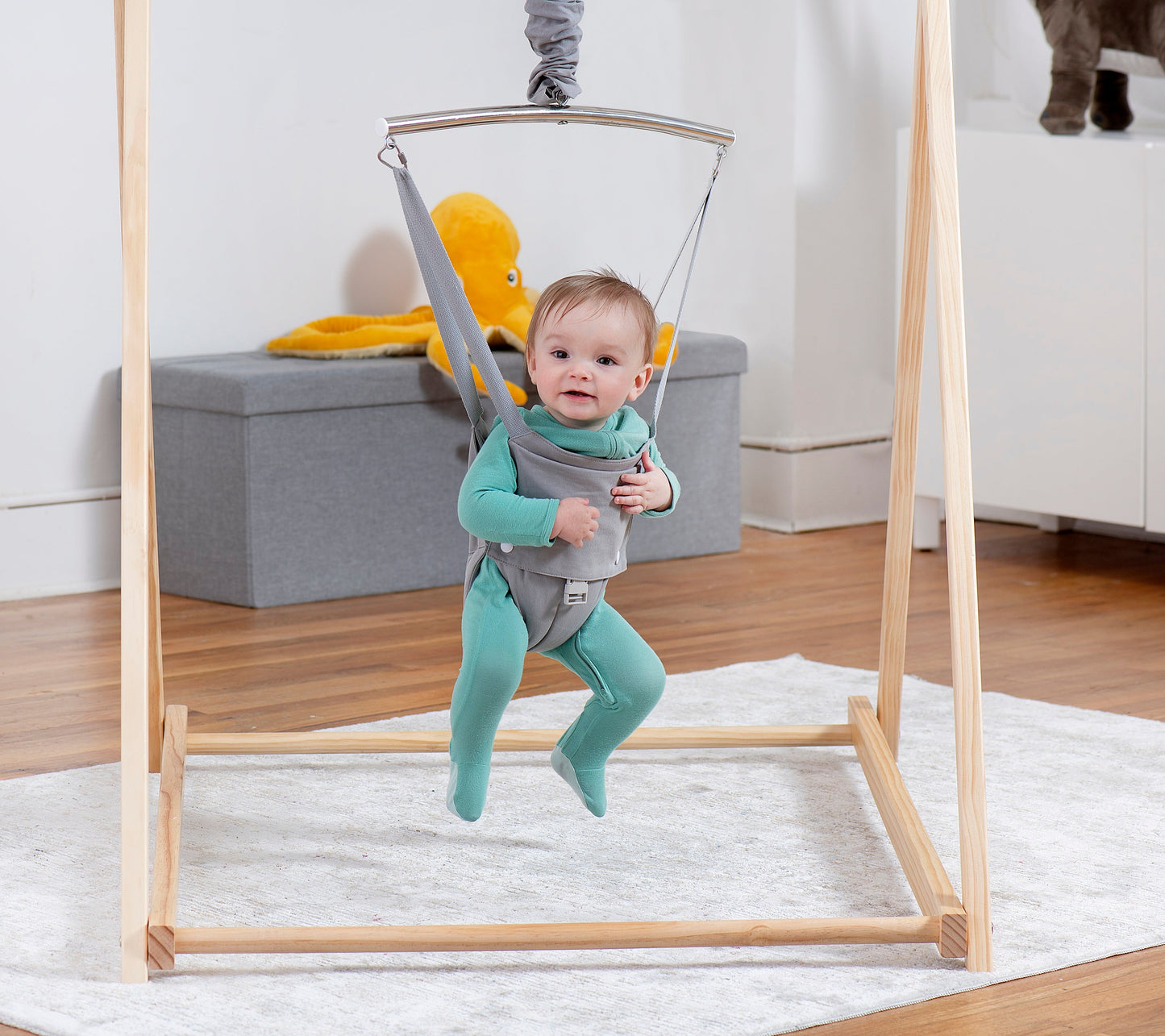 Tulip - Foldable Baby Bouncer with Harness