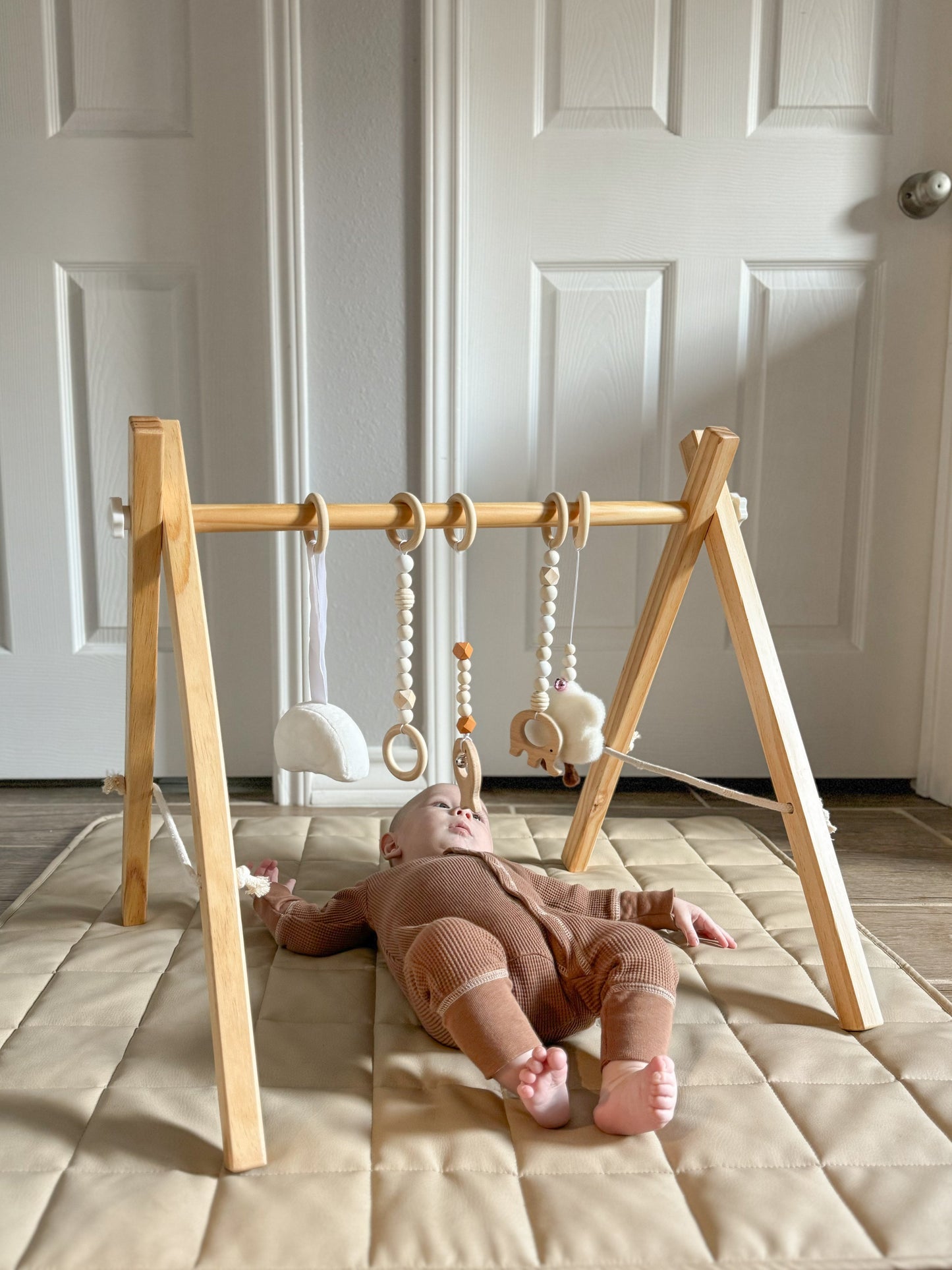 Lilac Wooden Baby Gym