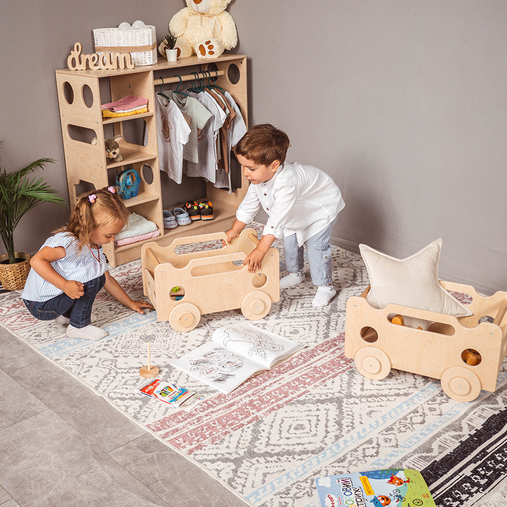 Montessori Toy Organizer