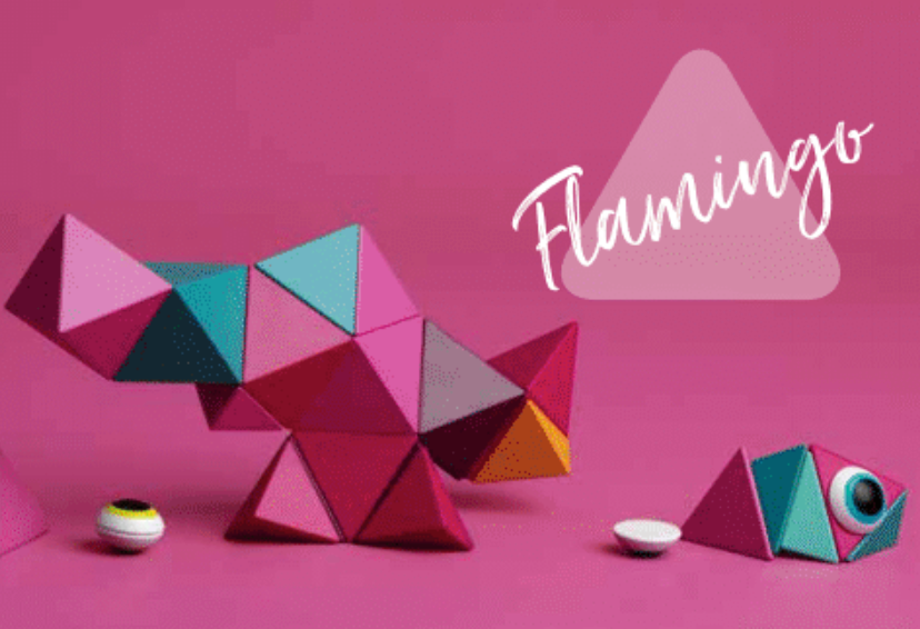 Magnetic Building Block Set - Flamingo Medium 24 - pcs - Oliver Ruffus