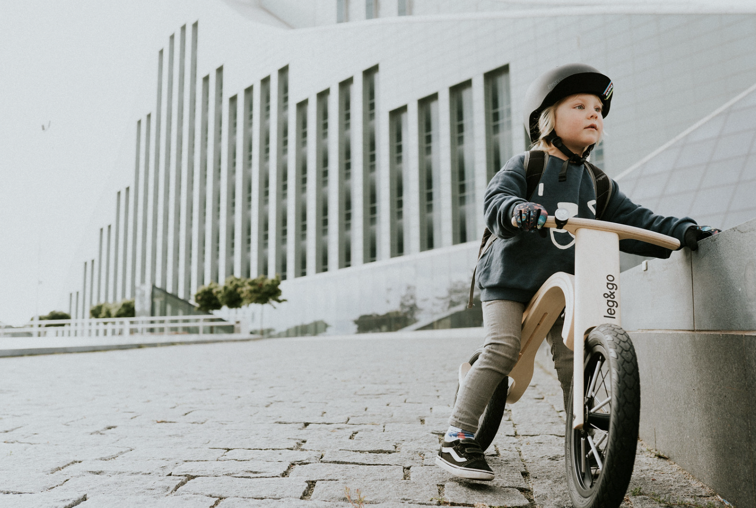 3in1 Bike Birch Wood - Oliver Ruffus