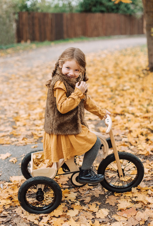 Tricycle Add-on For The 3in1 Bike Birch Wood - Oliver Ruffus