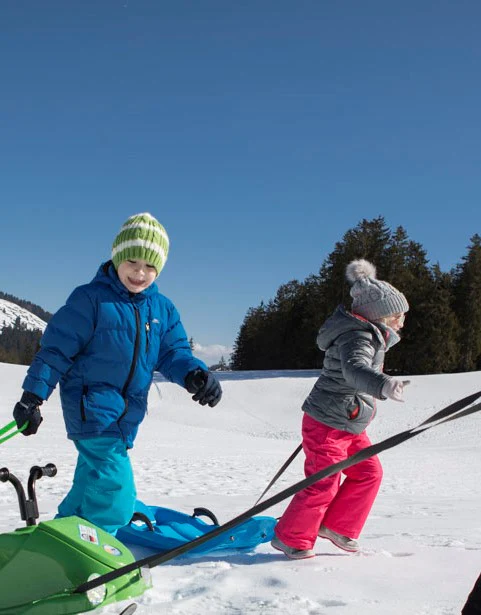 KHW Snow Bird de Luxe Sled