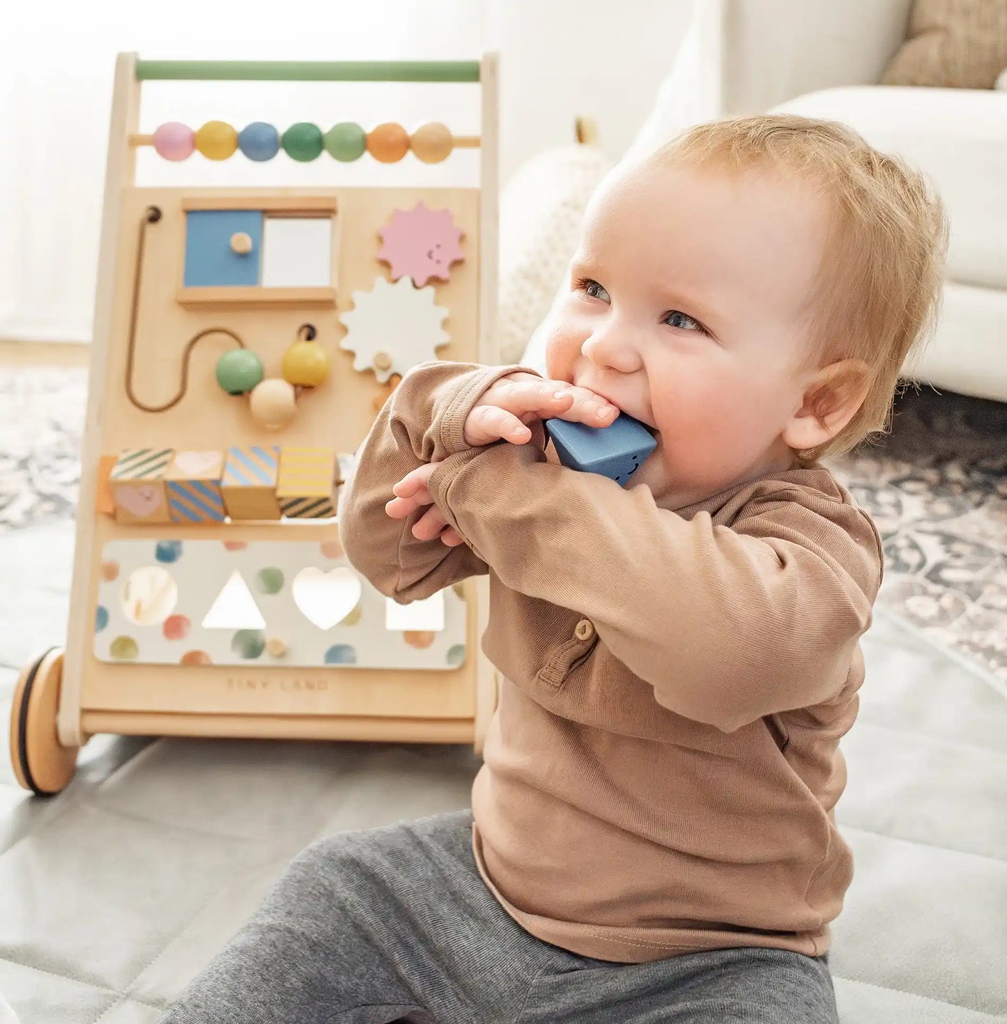 Complete Development Playset — Baby Walker + Activity Cube