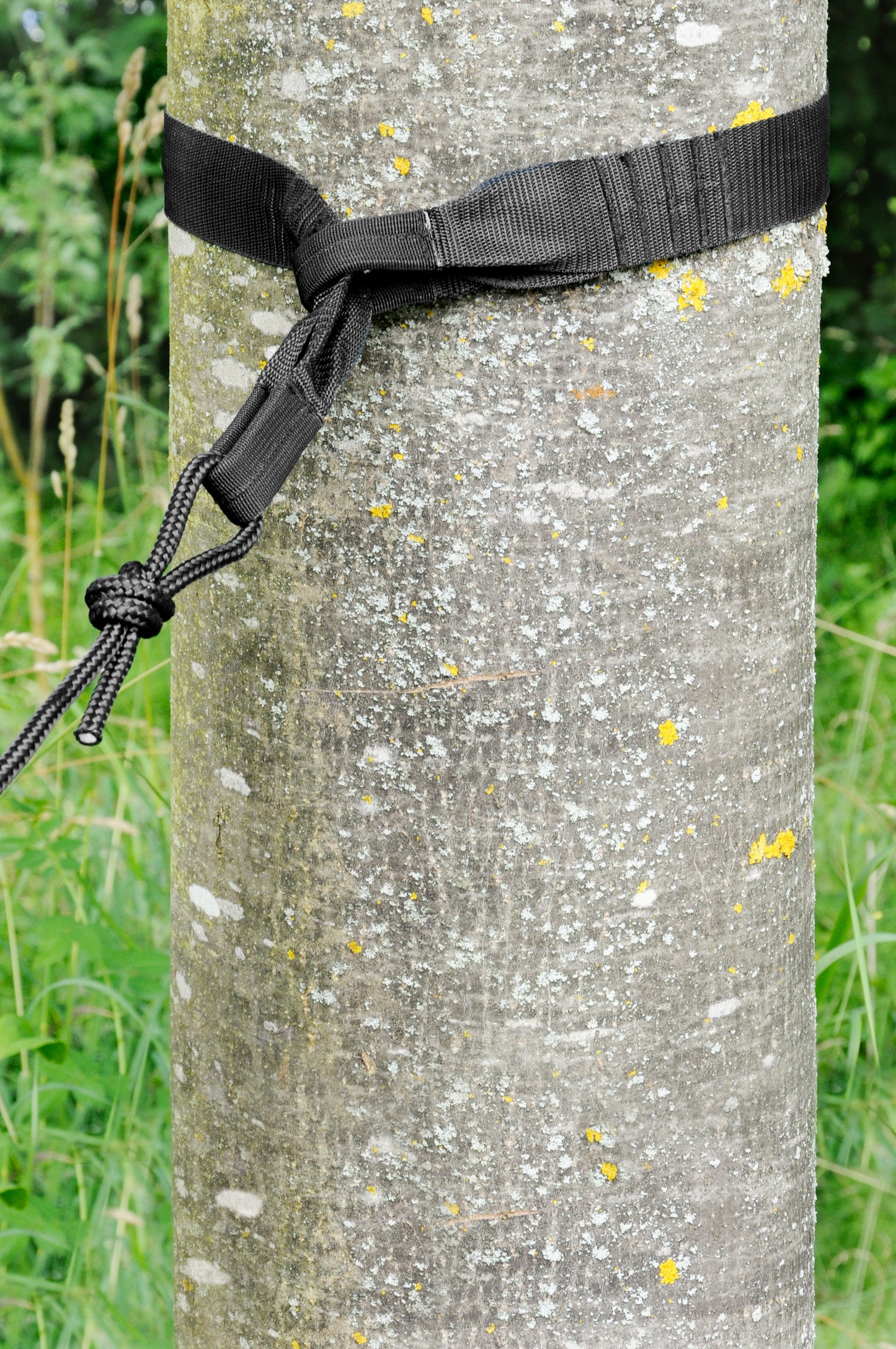 TreeMount Tree and Pole Suspension Set for Hammocks