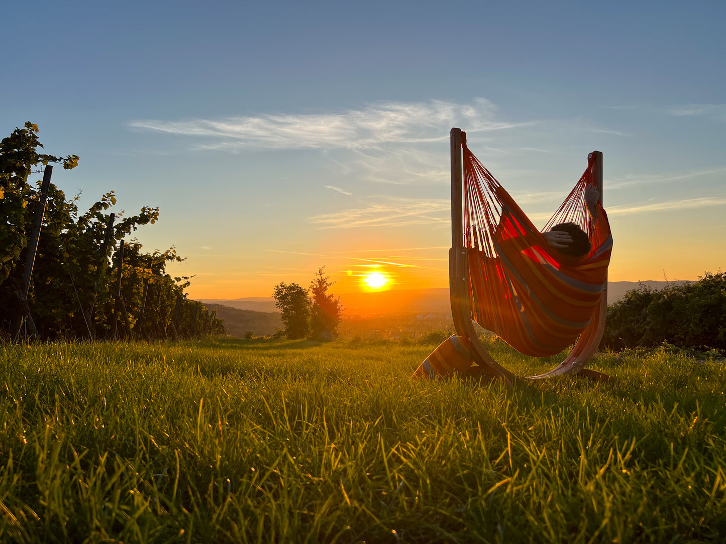 Udine Outdoor Weather-Resistant Hammock Chair with FSC® certified Eucalyptus Stand