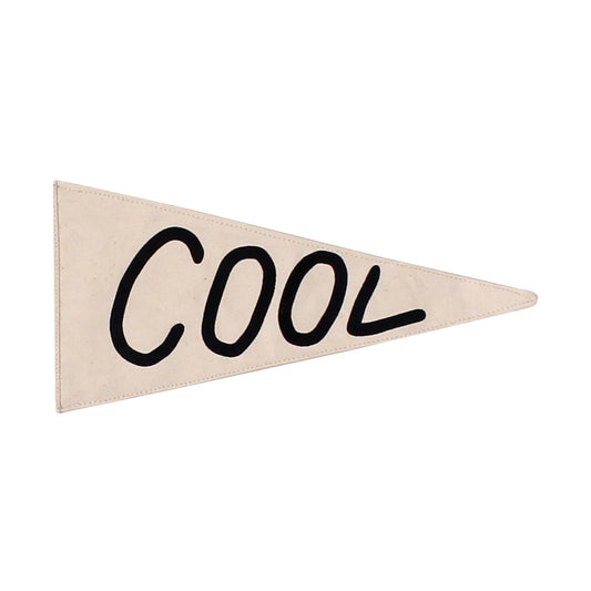 "Cool" Canvas Pennant | Handmade Wall Décor