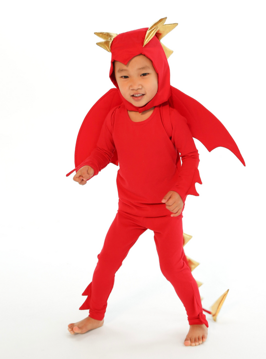 Red Dragon Costume