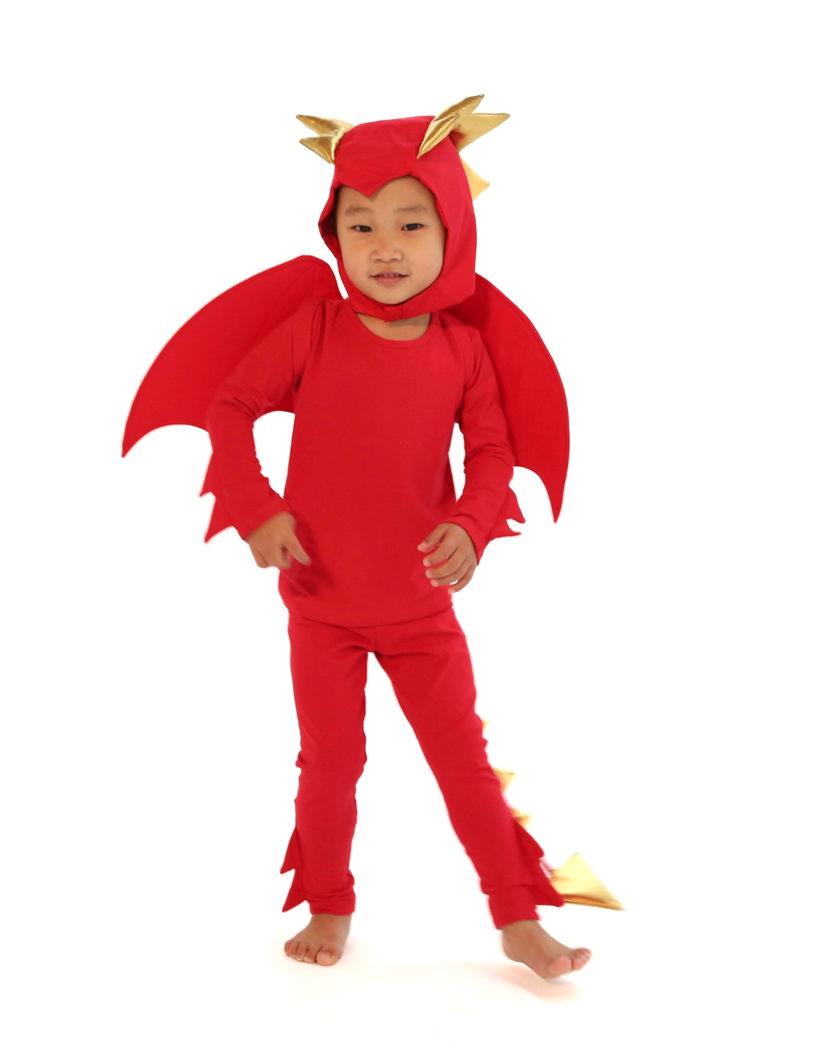 Red Dragon Costume