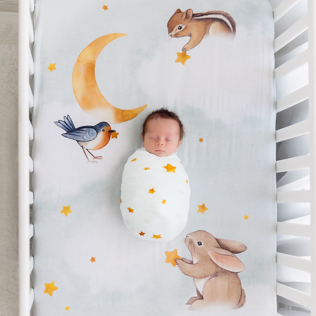 Goodnight Wonderland Standard Size Crib Sheet