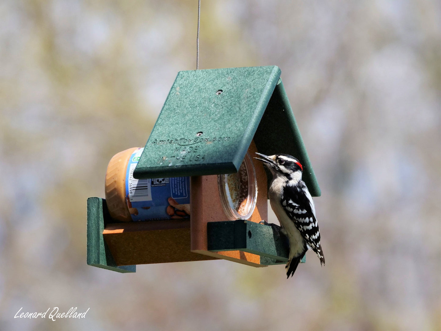 Peanut Butter Bird Feeder, Fits 18 Oz. Jar of Peanut Butter, Amish-Made