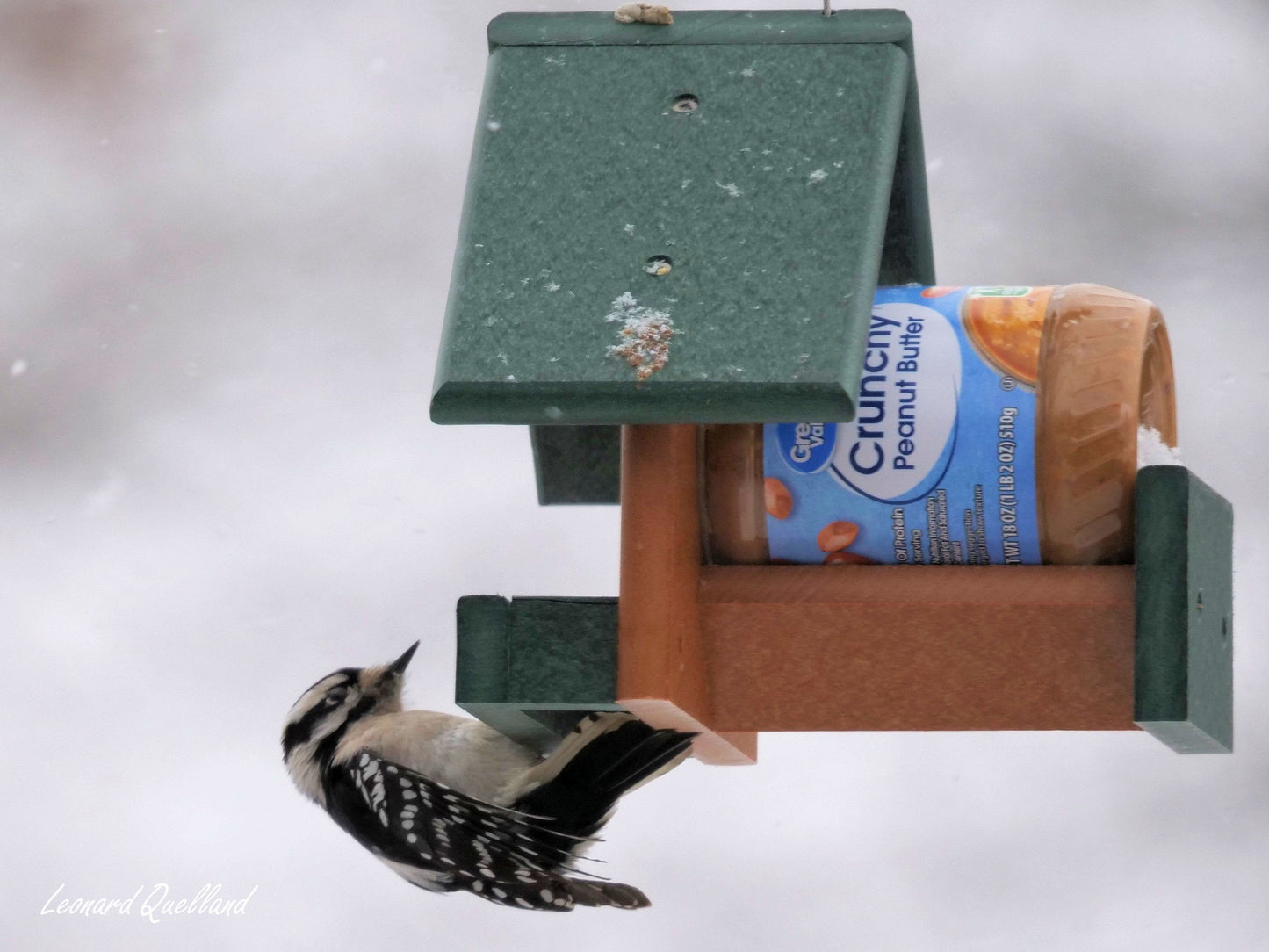 Peanut Butter Bird Feeder, Fits 18 Oz. Jar of Peanut Butter, Amish-Made