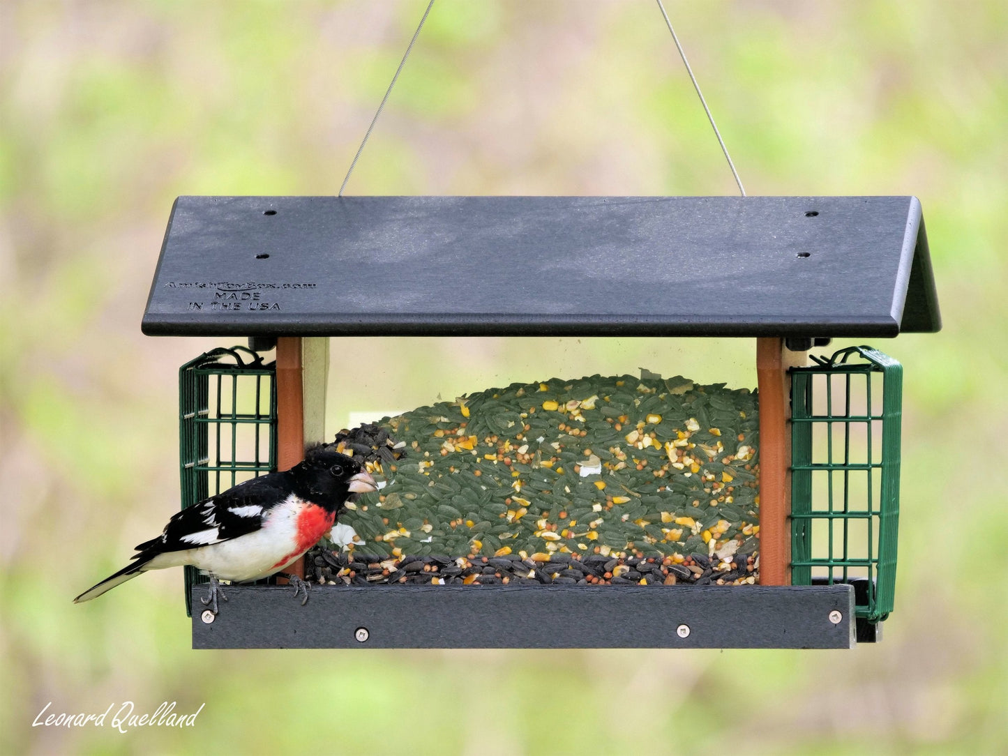 Amish-Made Deluxe Bird Feeder with Suet Holder, Made With Poly Lumber