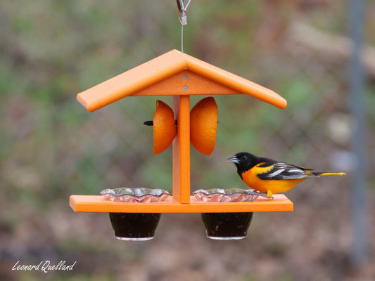 Oriole Bird Feeder, Double-Cup Jelly Feeder with Pegs for Oranges