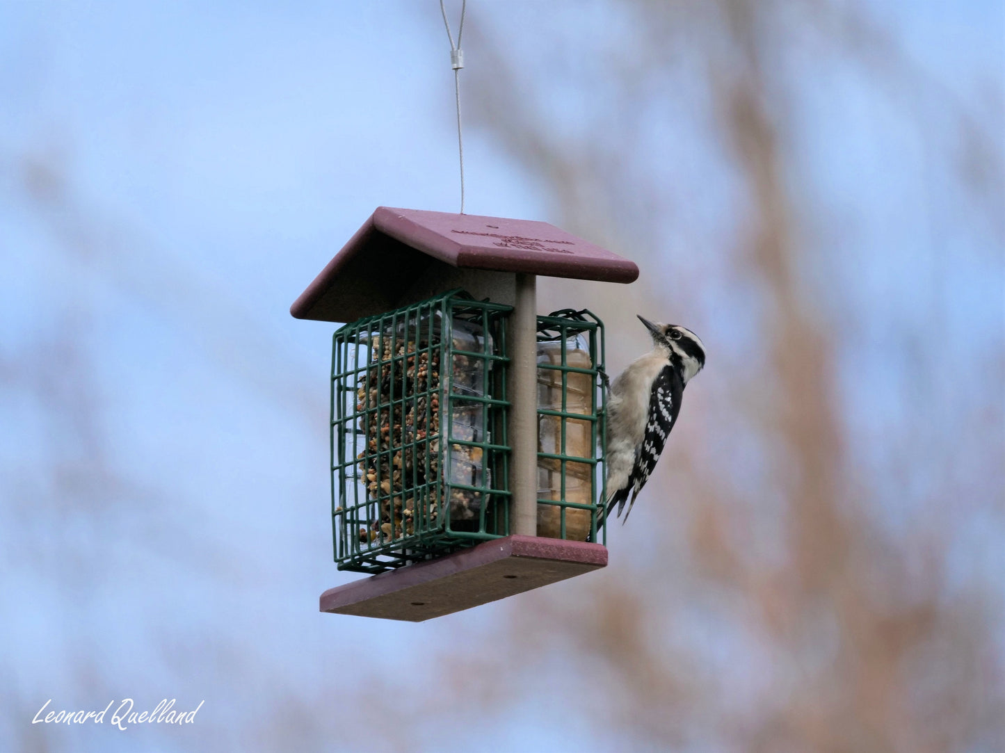 Double Suet-Cake Bird Feeder, Made With Poly Lumber, Amish-Made