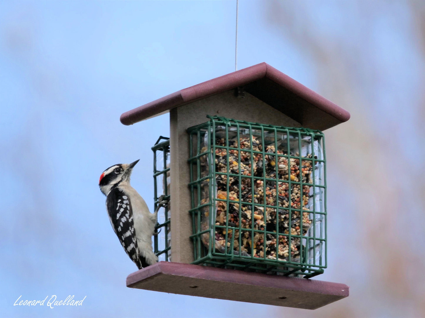 Double Suet-Cake Bird Feeder, Made With Poly Lumber, Amish-Made