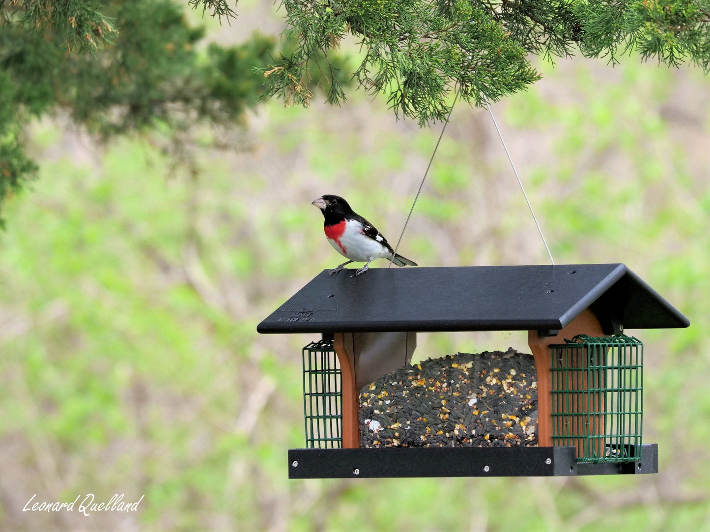 Amish-Made Deluxe Bird Feeder with Suet Holder, Made With Poly Lumber